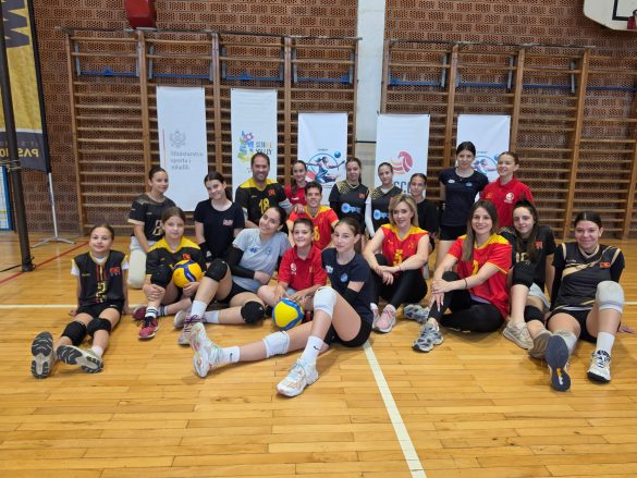 31 05 Sjedeća odbojka PVEDP Podgorica (17)